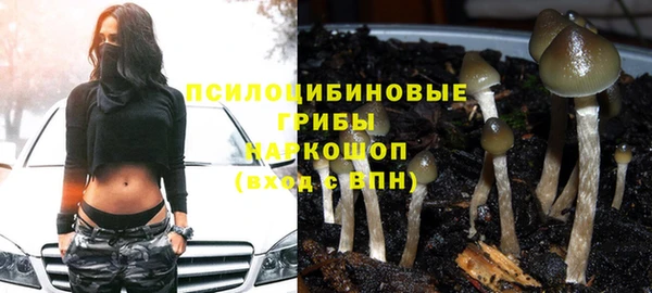 2c-b Абдулино