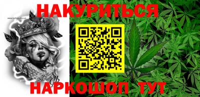 Альфа ПВП Кингисепп