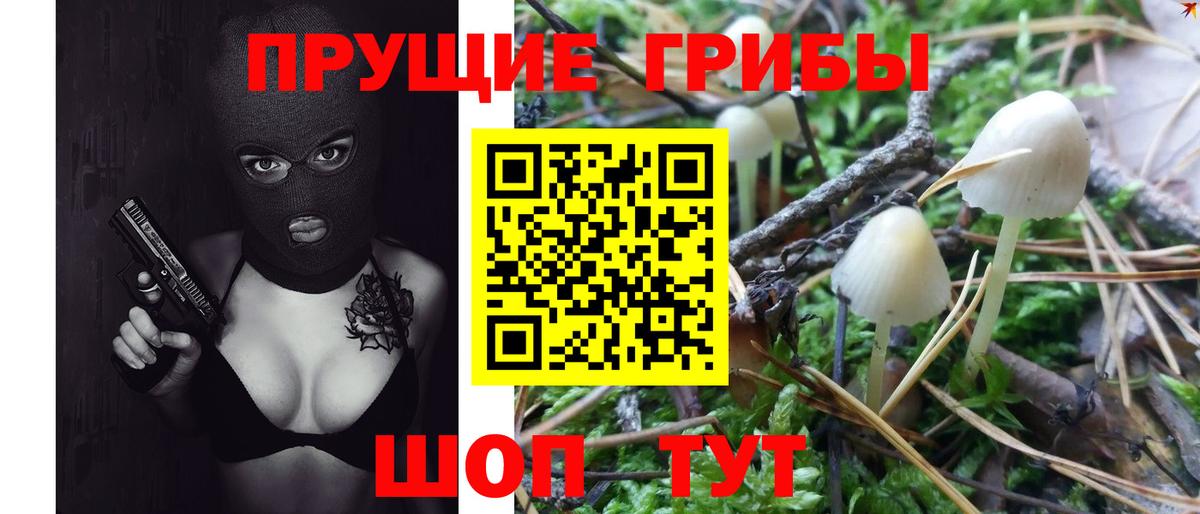 Псилоцибиновые грибы Psilocybine cubensis  Галлюциногенные грибы мухоморы  Вход с VPN  Котовск 